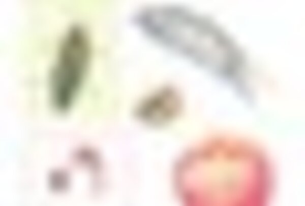 tiny_thumb_cartaz__1_720_2500