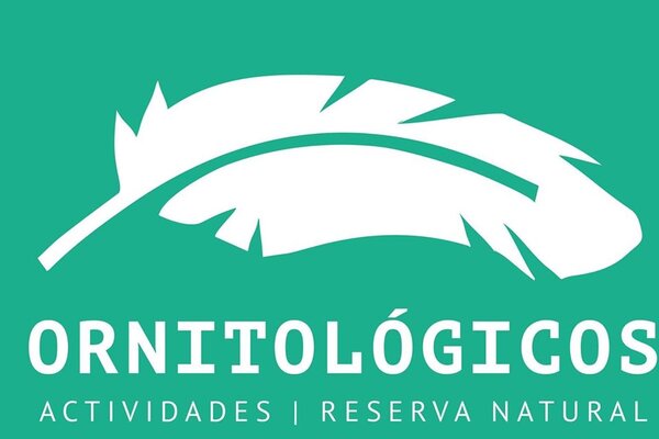 70842719_403547060225710_1036983921922801664_o