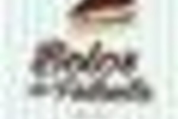 tiny_thumb_123625806_206914910849012_288386765654210090_n