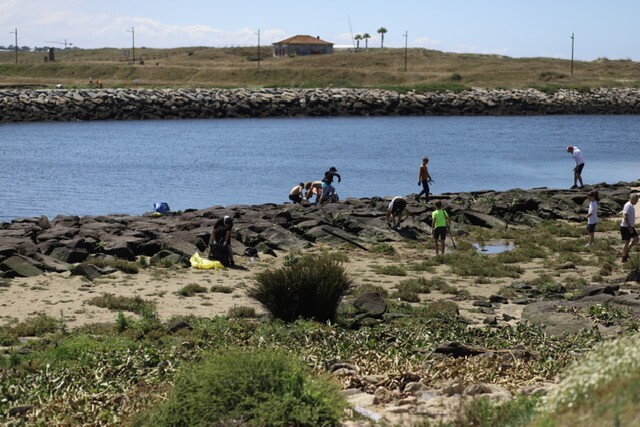 limpeza_2_1_736_2500