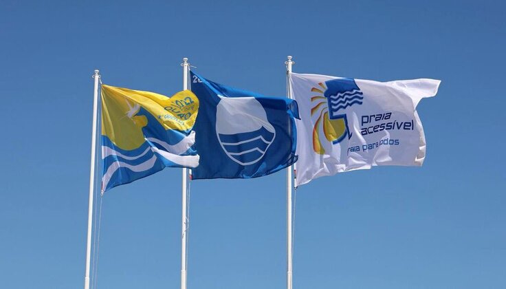 343577119_769484691549714_6657987969187924430_n_1_1000_620_1_736_420